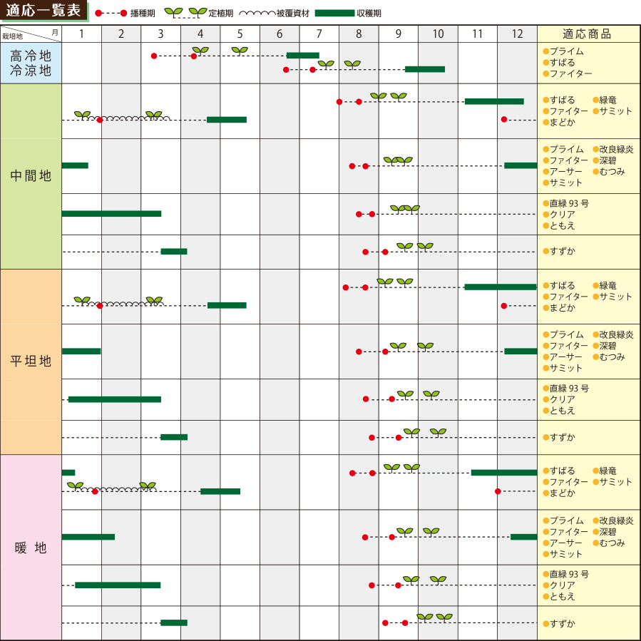 ブロッコリーの栽培 株式会社ブロリード ブロッコリーの栽培 株式会社ブロリード