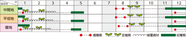 T~bgiBL-648j̔dAAAn